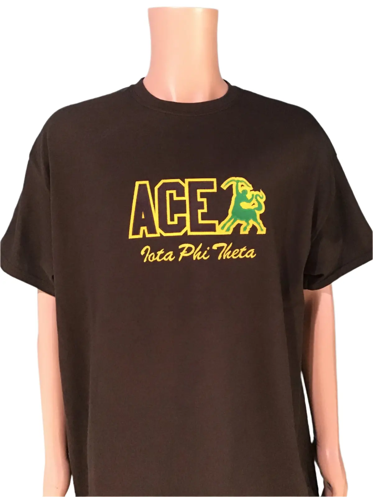 Iota Phi Theta Brown Word Tee 1