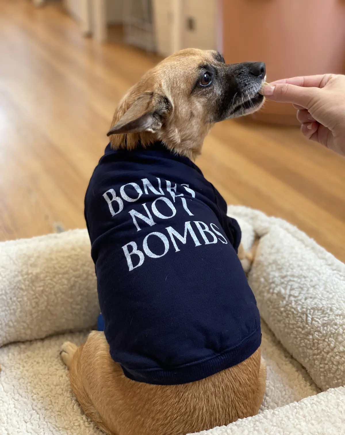 Cut-Sleeve “Bones Not Bombs” T-Shirt (Made In The Usa) (Final Sale) 1