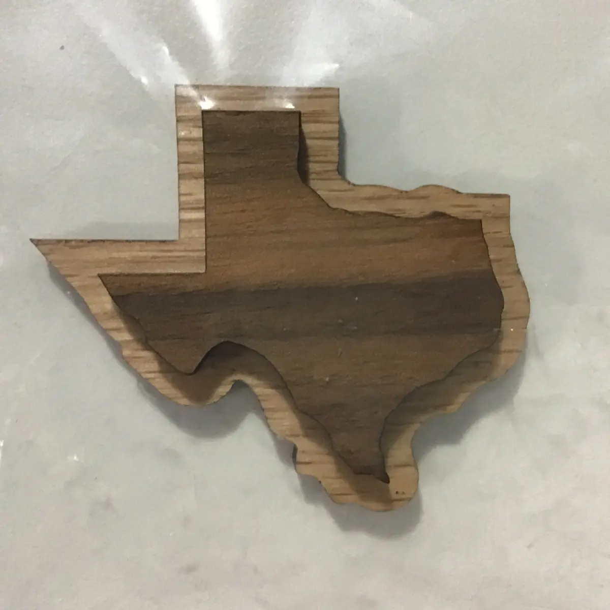 Texas Oak-Backed Symbol 1