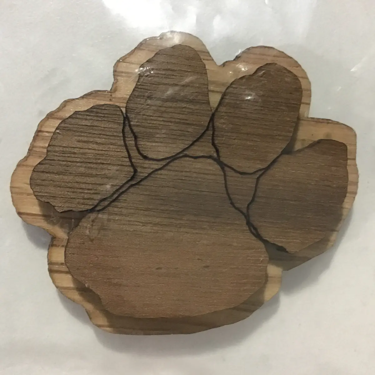 Tiger Paw Oak-Backed Symbol 1