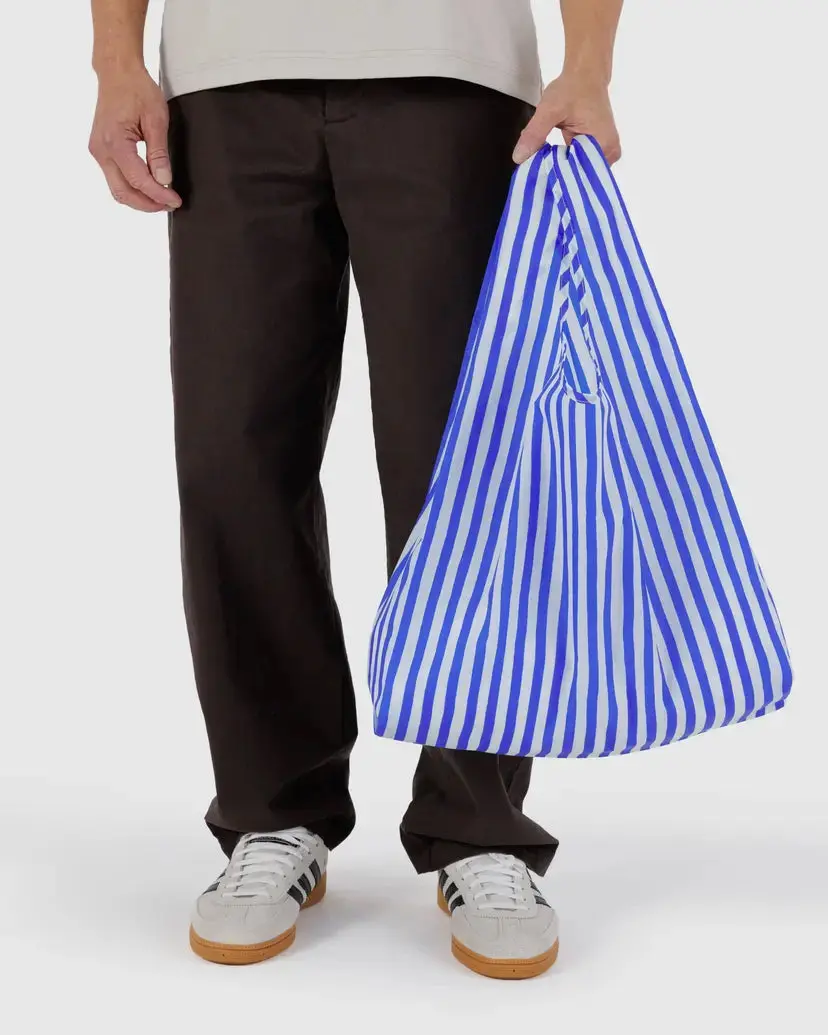 Blue Painted Stripe Standard Baggu 1