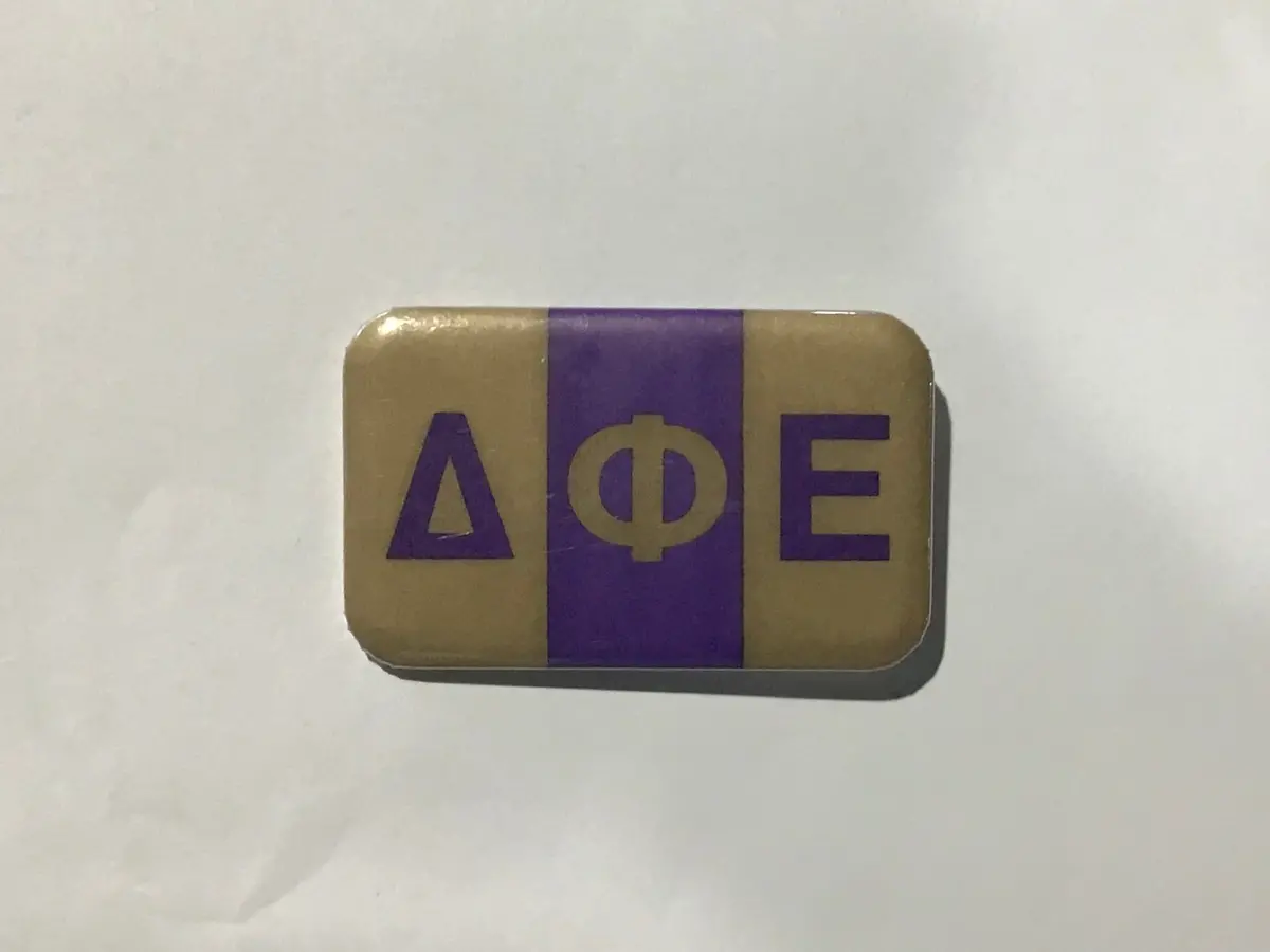 Delta Phi Epsilon Rectangle Shaped Button - Vintage 1