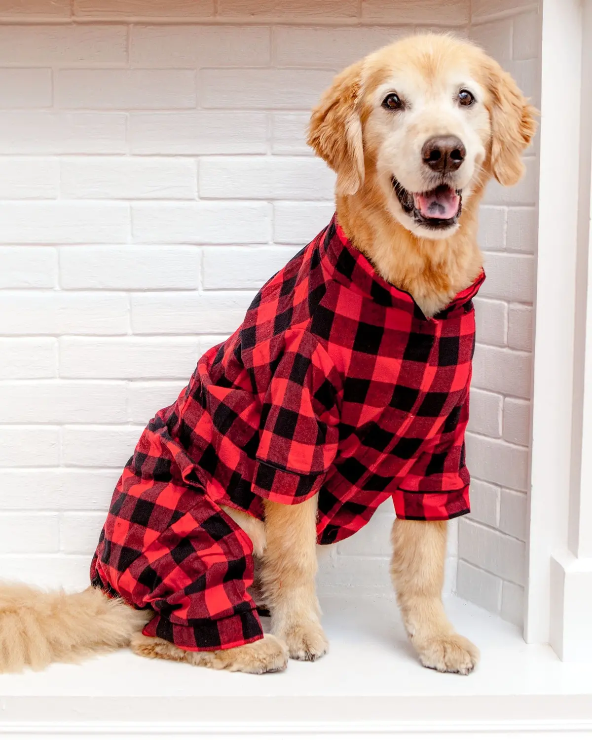 Buffalo Check Flannel Dog Pj's (Final Sale) 1