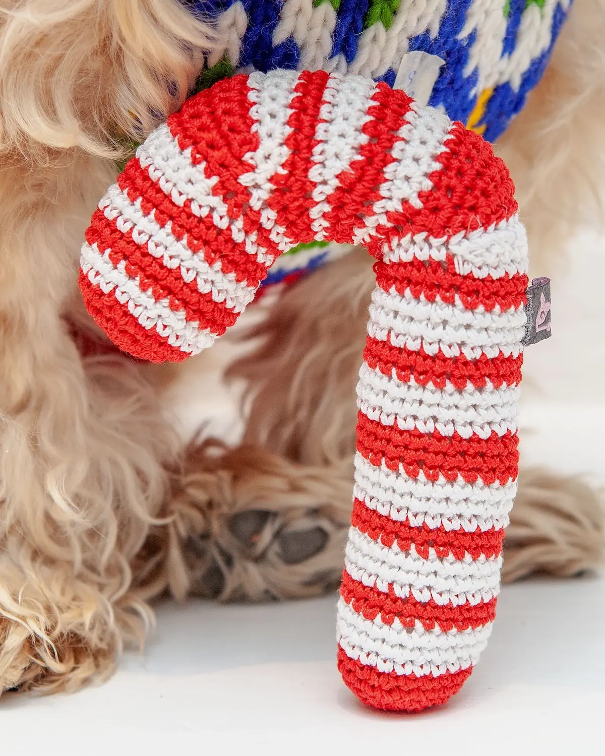 Candy Cane Organic Knit Dog Toy 1