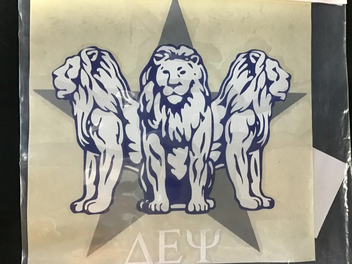 Delta Epsilon Psi Large Vinyl Decal - Discontinued 1
