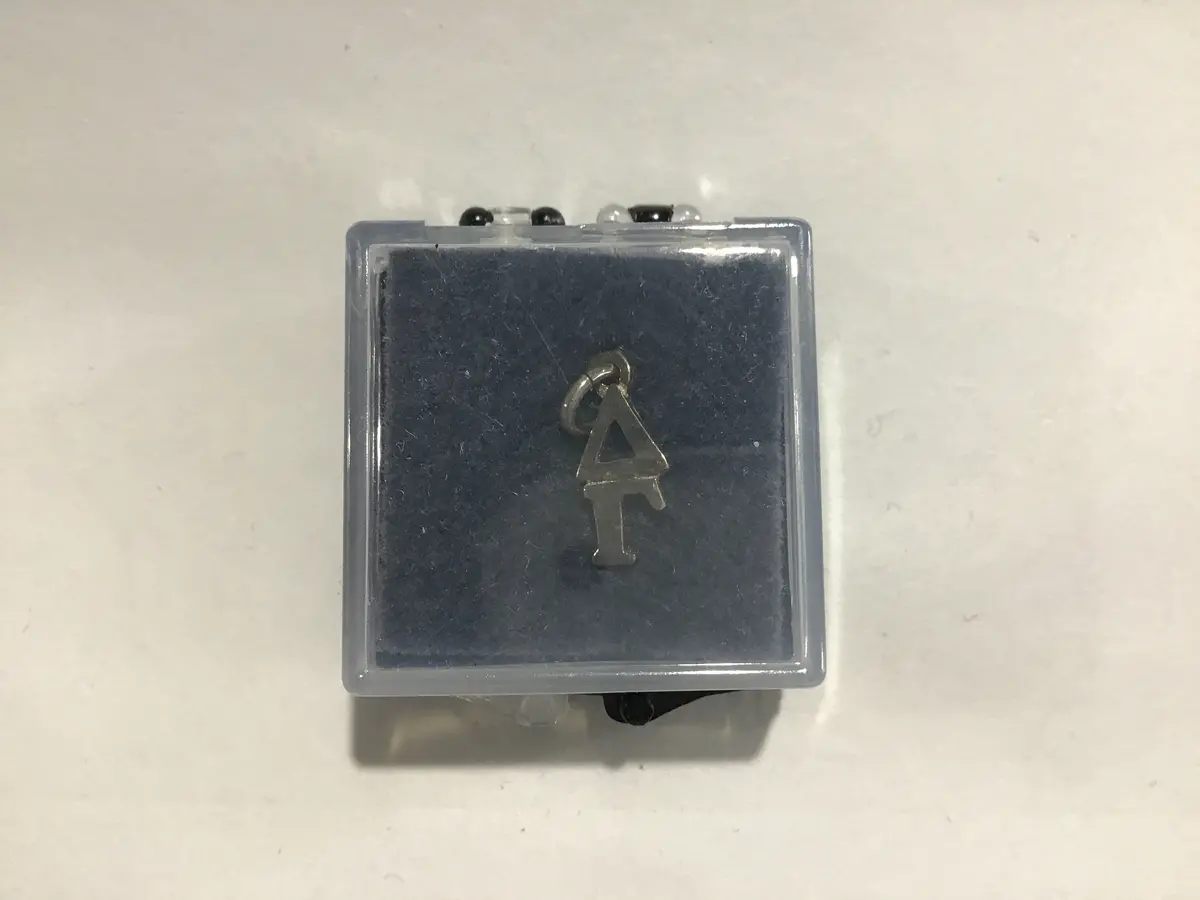 Delta Gamma Discontinued Lavalier 1