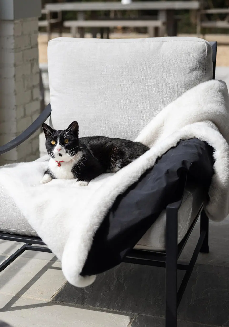 Faux Mink Dog Blanket In Ivory (Made In The Usa) 1