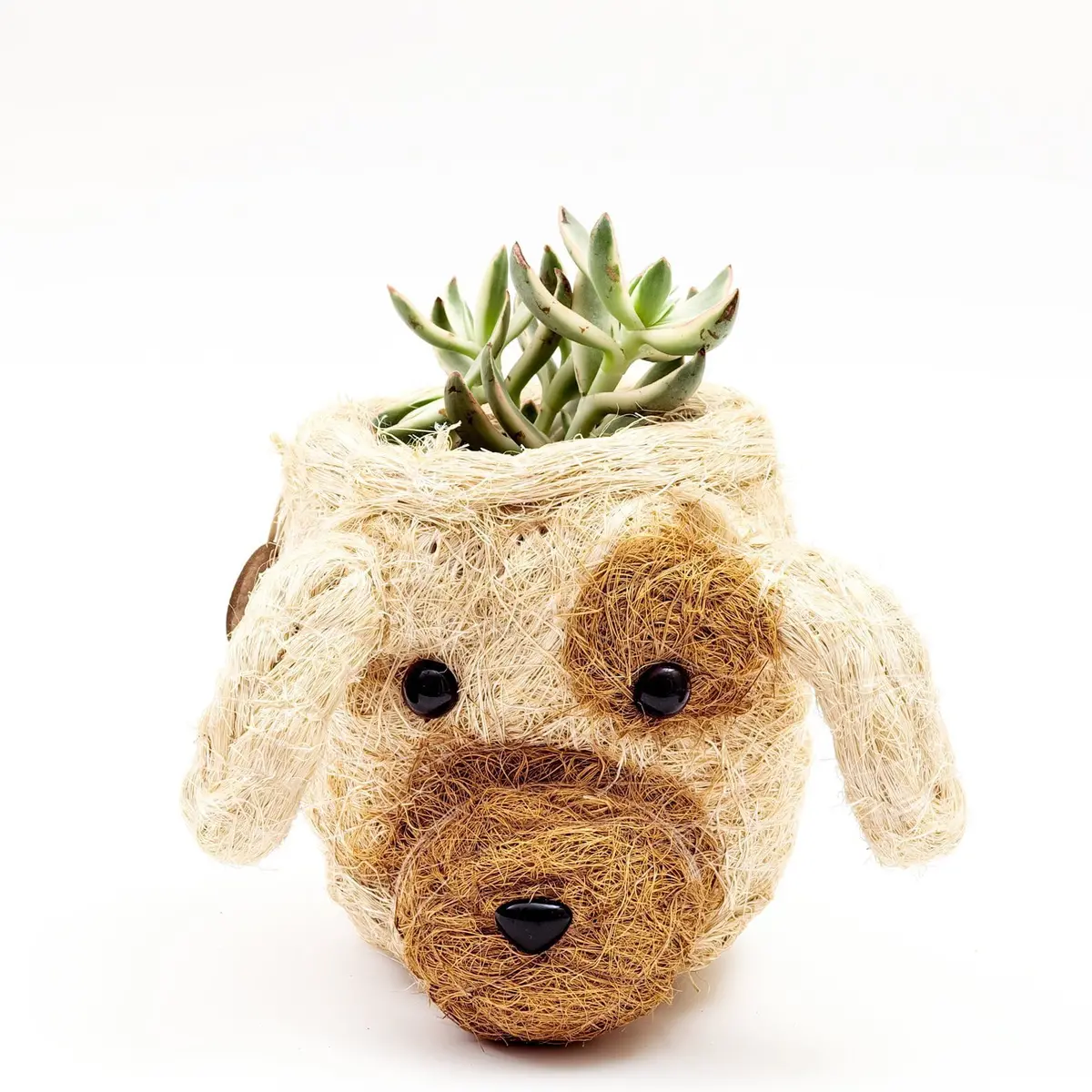 Likha | Diego The Dog Planter 1