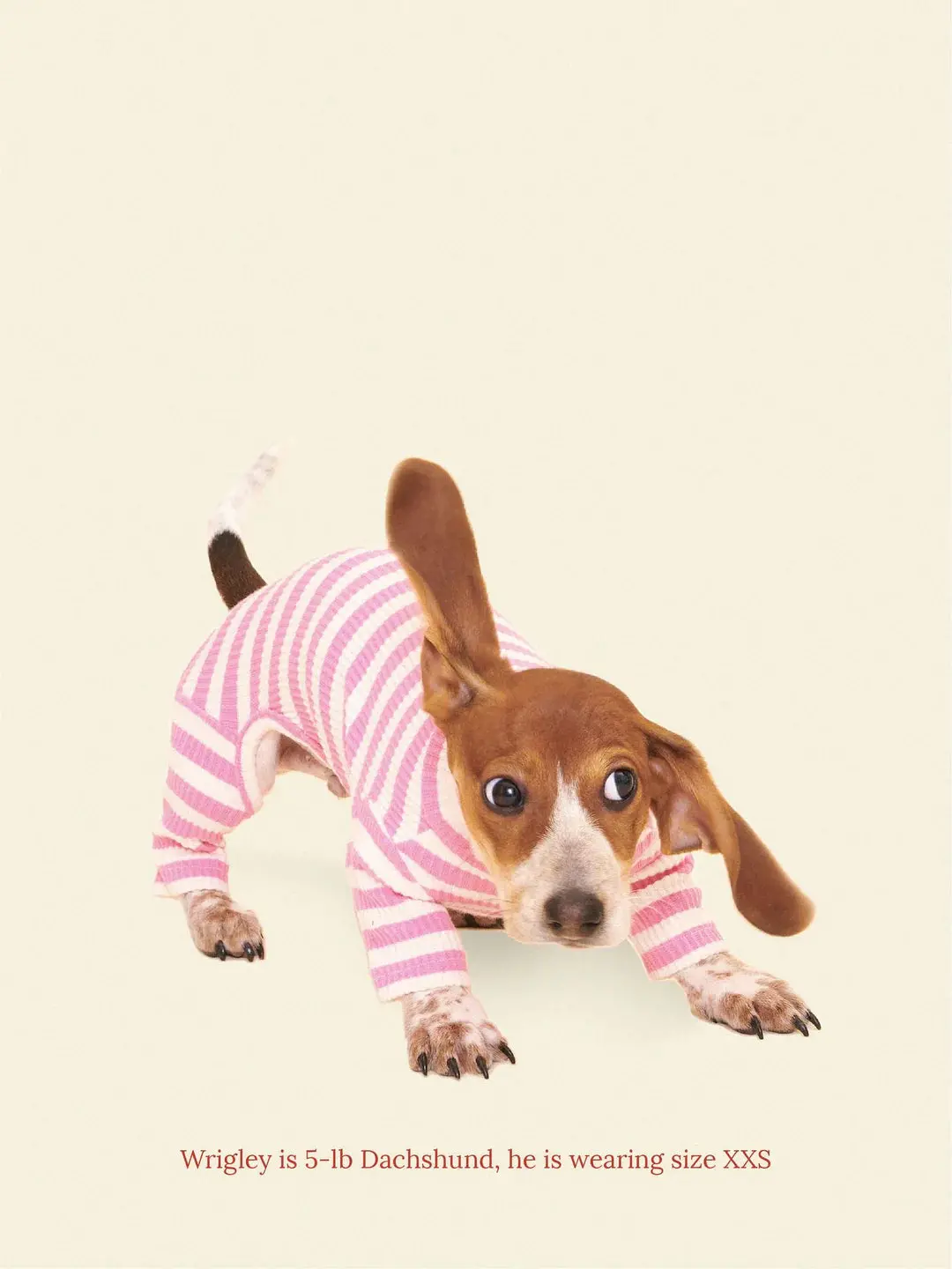 Hug Me Ribbed Dog Onesie 1