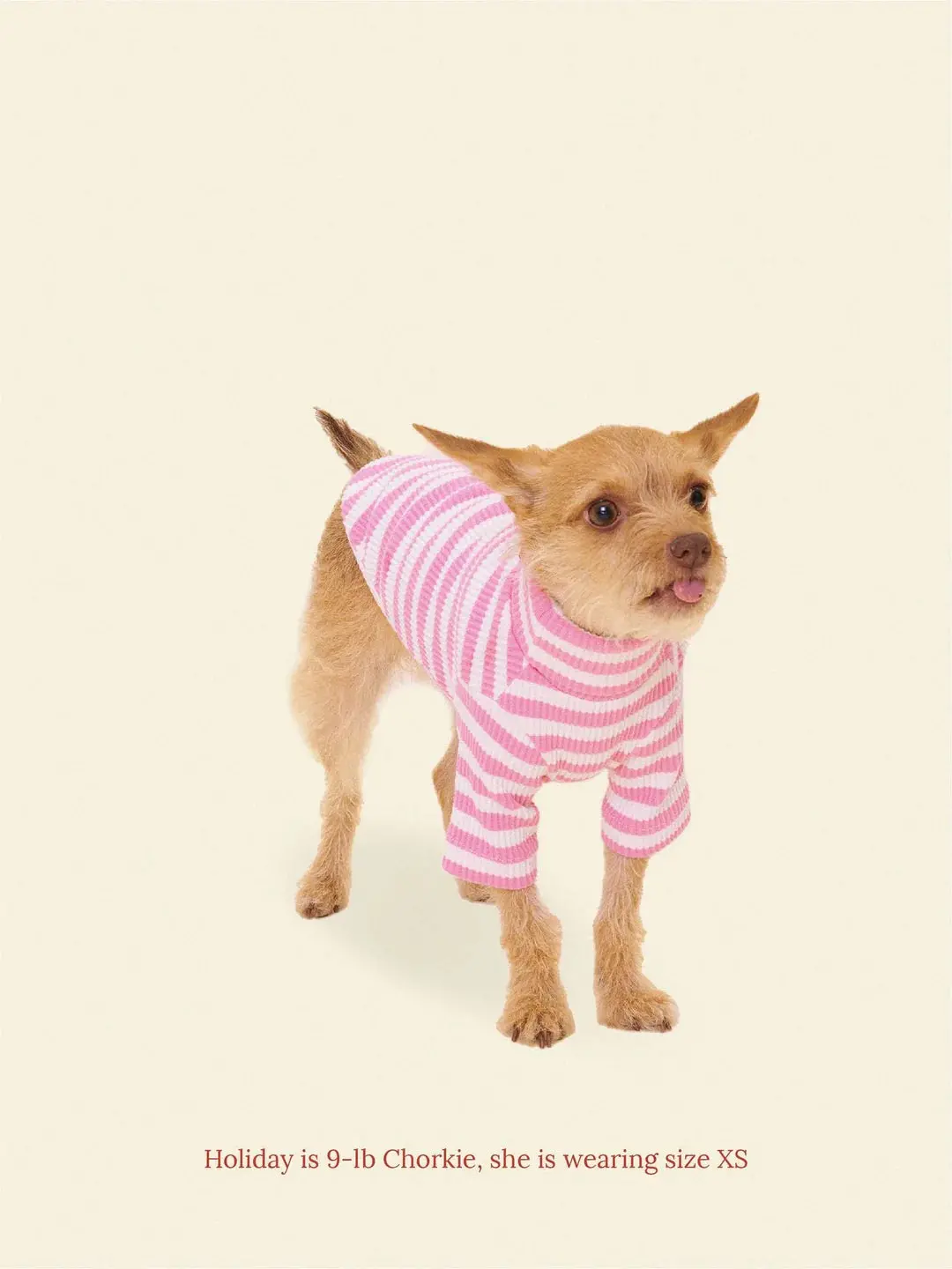 Hug Me Ribbed Dog Shirt 1