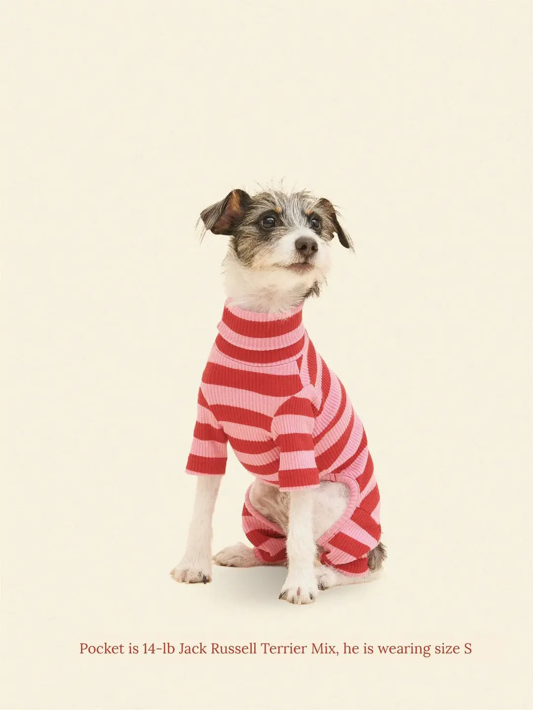 Kiss Me Ribbed Dog Onesie 1