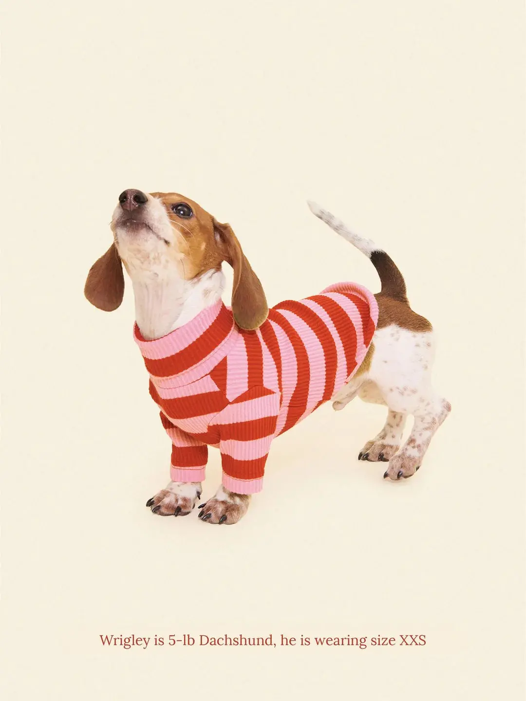 Kiss Me Ribbed Dog Shirt 1