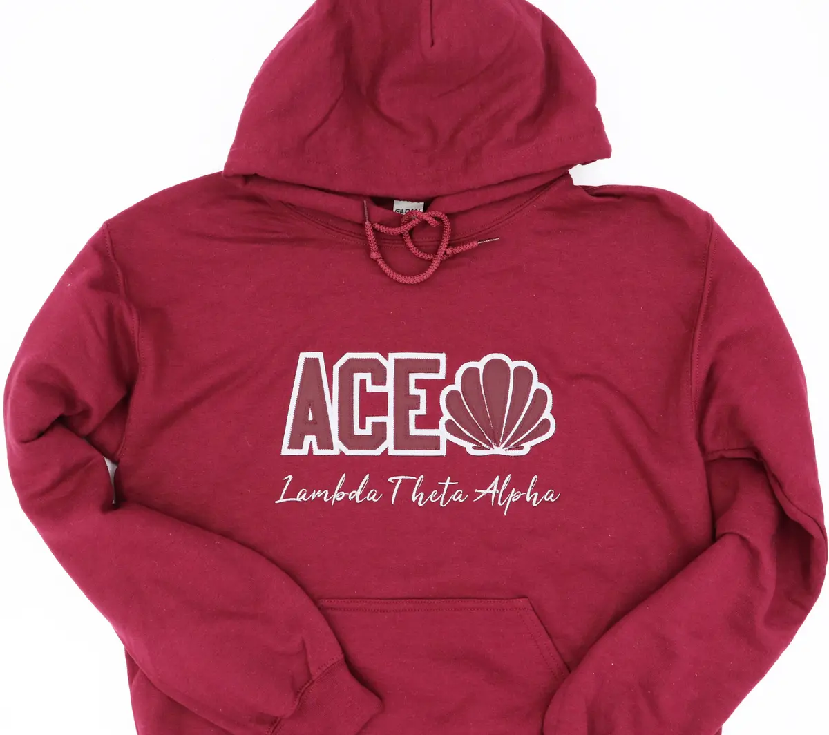 Lambda Theta Alpha Word Hoodie 1