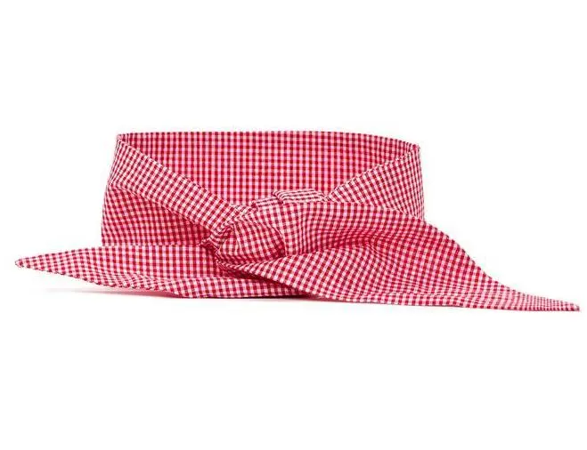 Modern Beast | Neck Tie In Red Gingham 1