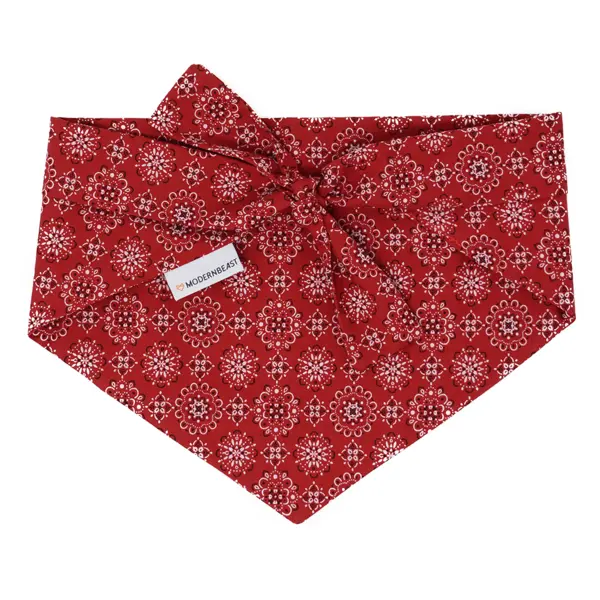 Modern Beast | Neckwear In Classic Red 1