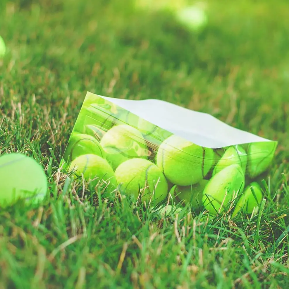 Tennis Ball Dog Water Bowl (Set Of 2) << Final Sale >> 1