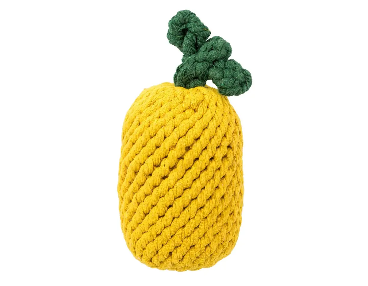 Jax & Bones | Pineapple Rope Toy 1