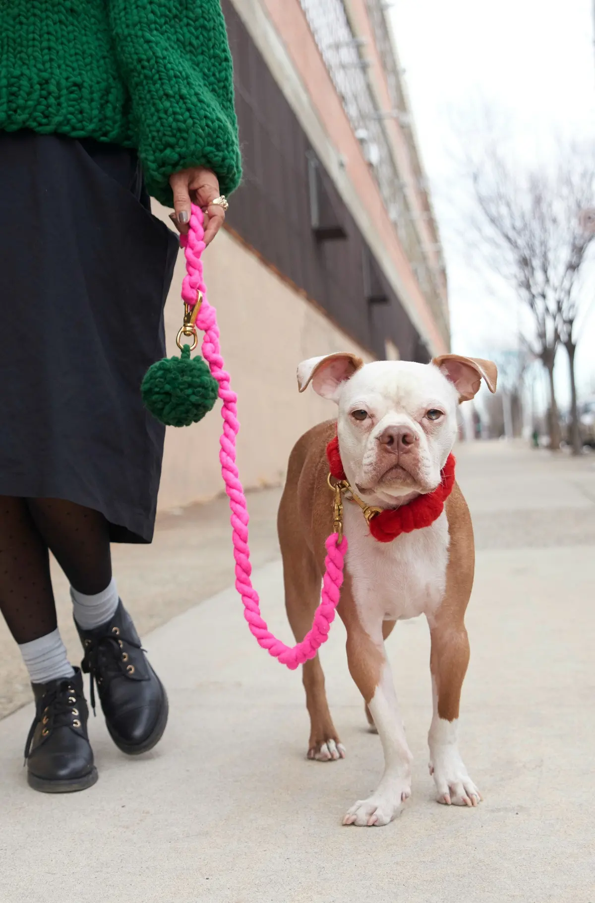 Loopy Mango | Diy Dog Leash Kit In Hot Pink 1