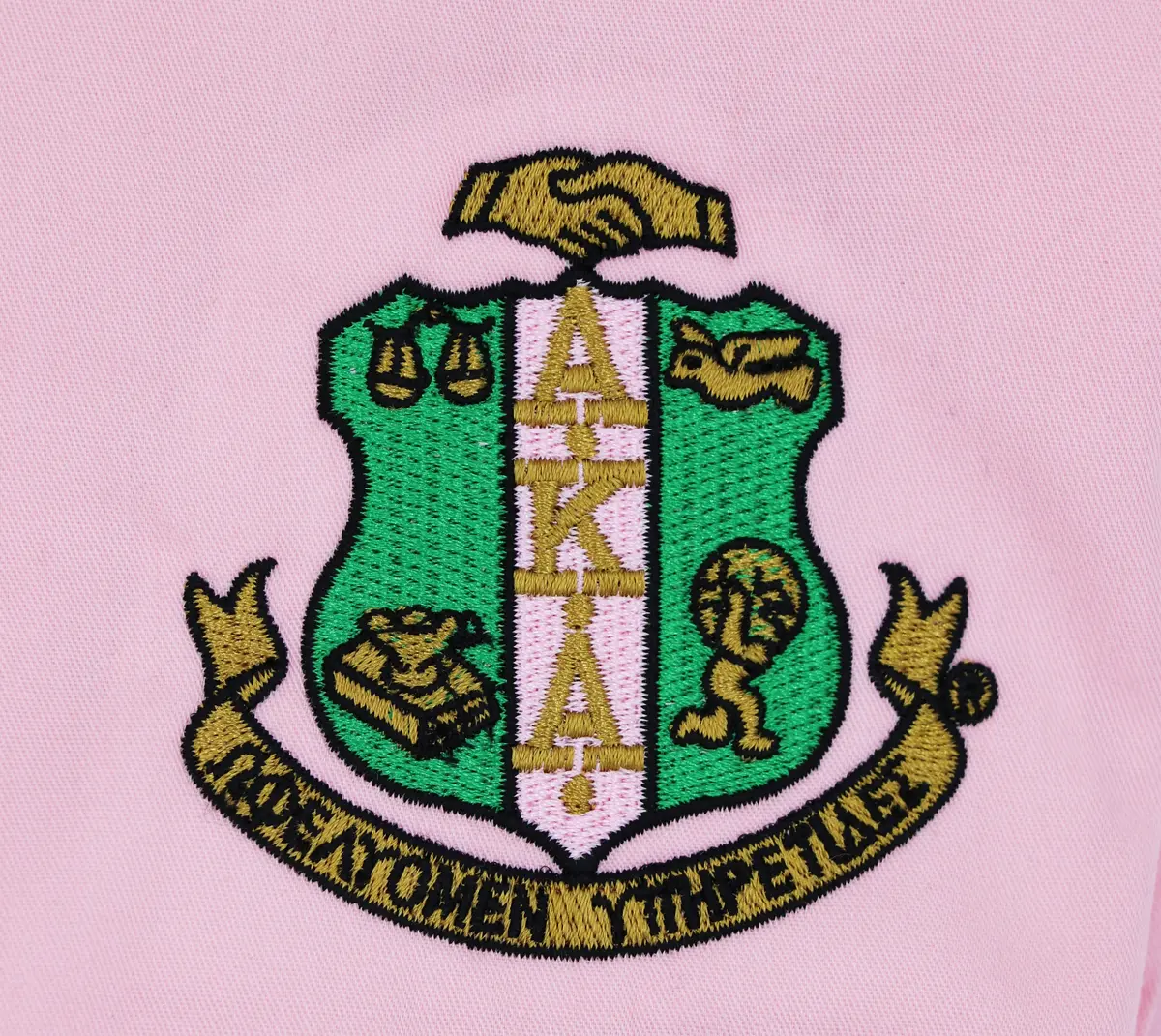 Alpha Kappa Alpha Ladies Long Sleeve Easy Care Shirt 3