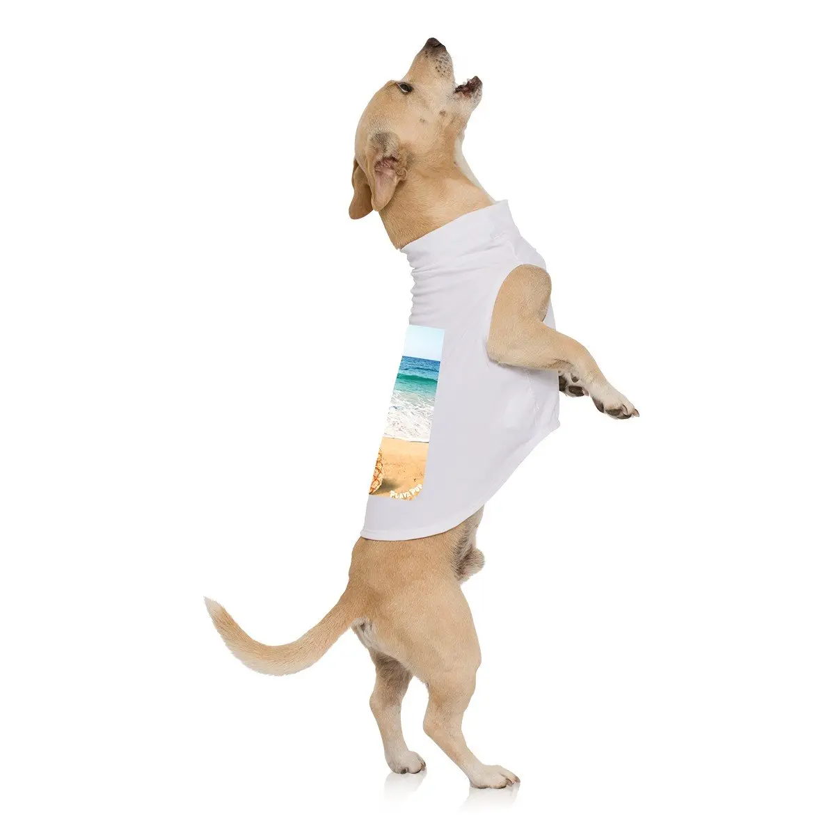 Playa Pup | Pineapple Tank Top 1