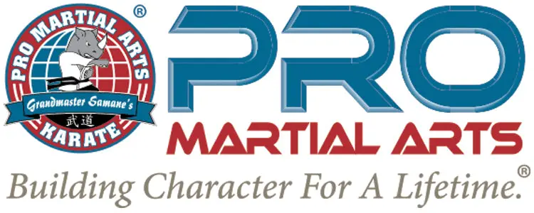 Pro Martial Arts 1
