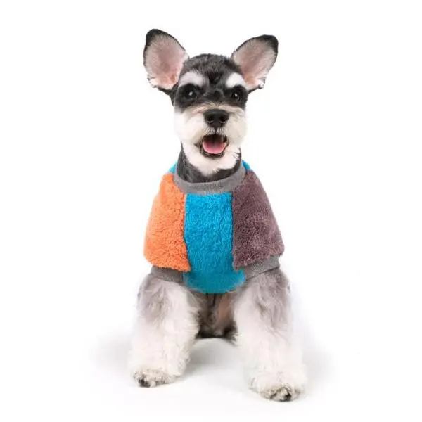 Charlie's Backyard | Cozy Pullover In Blue 1