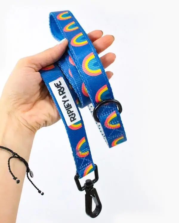 Rainbow Bright Soft Grip Dog Leash 1