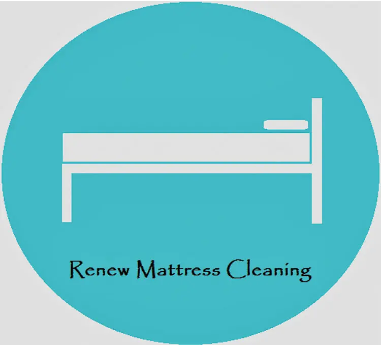 Renew Mattress Cleaning 1