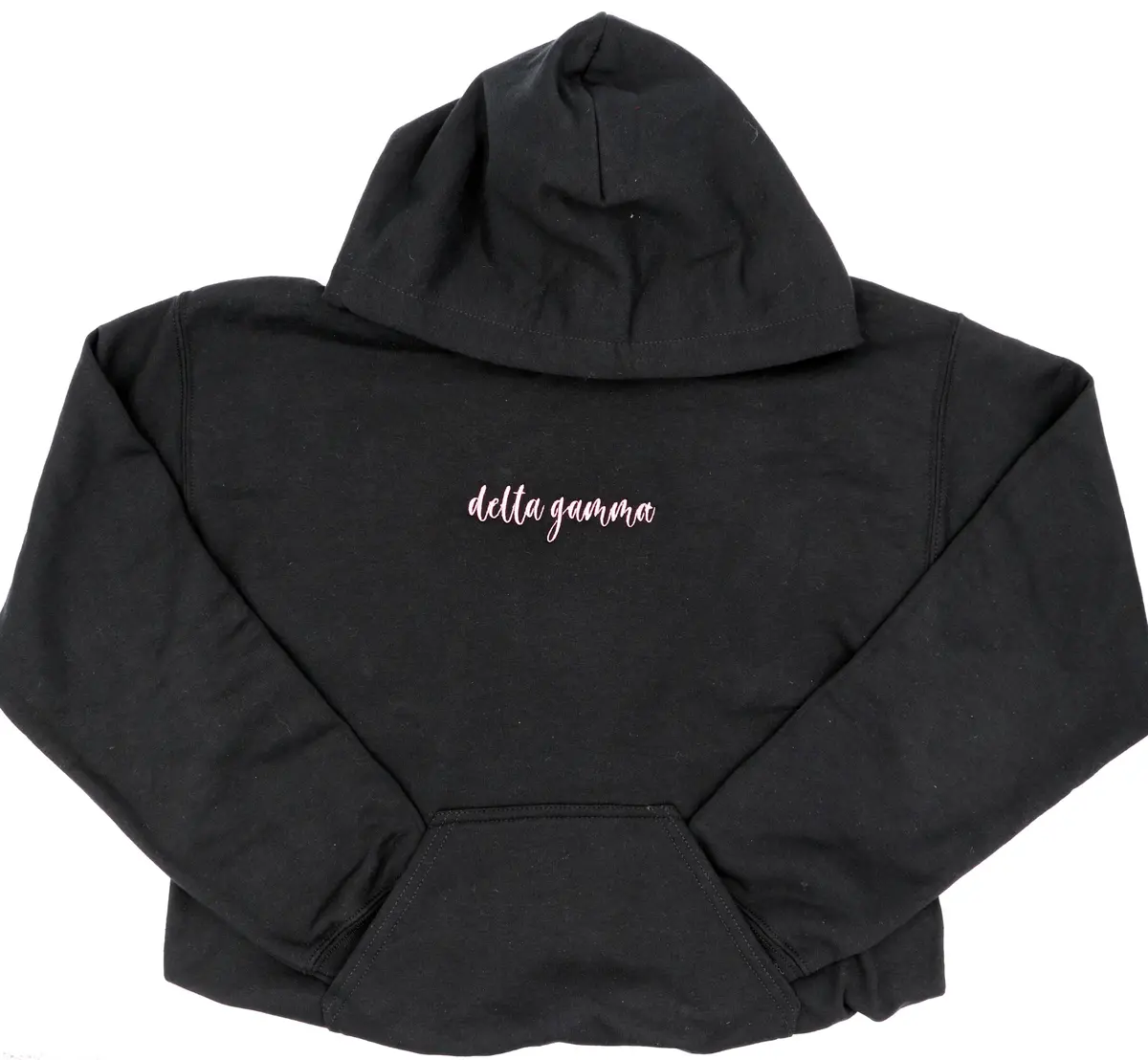 Delta Gamma Script Hoodie 1