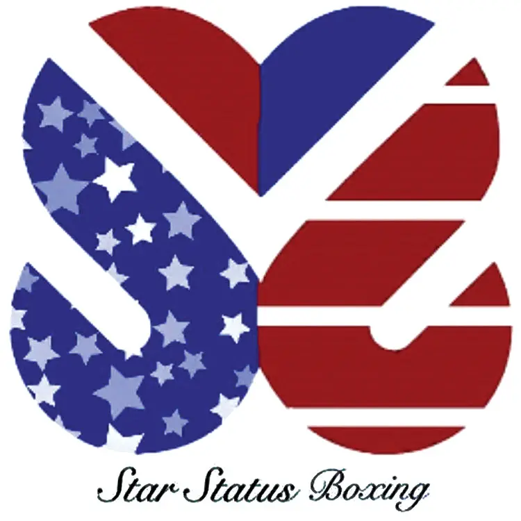 Star Status Boxing 1