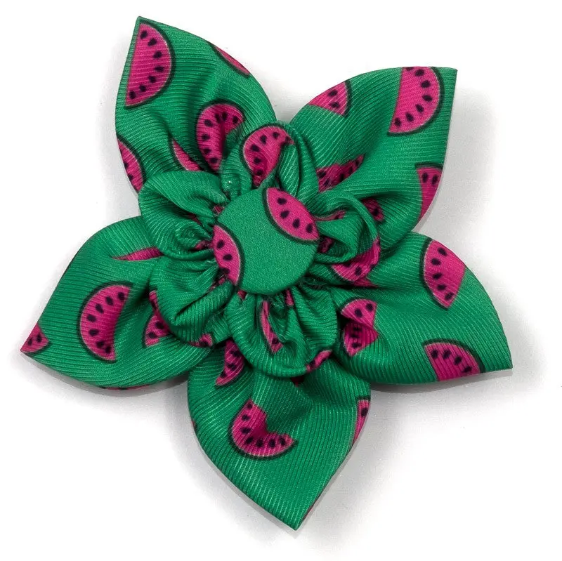 The Worthy Dog | Watermelon Flower 1