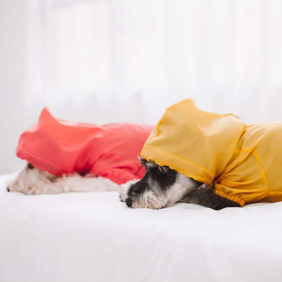 Lightweight Rain-Breaker In Salmon > 3