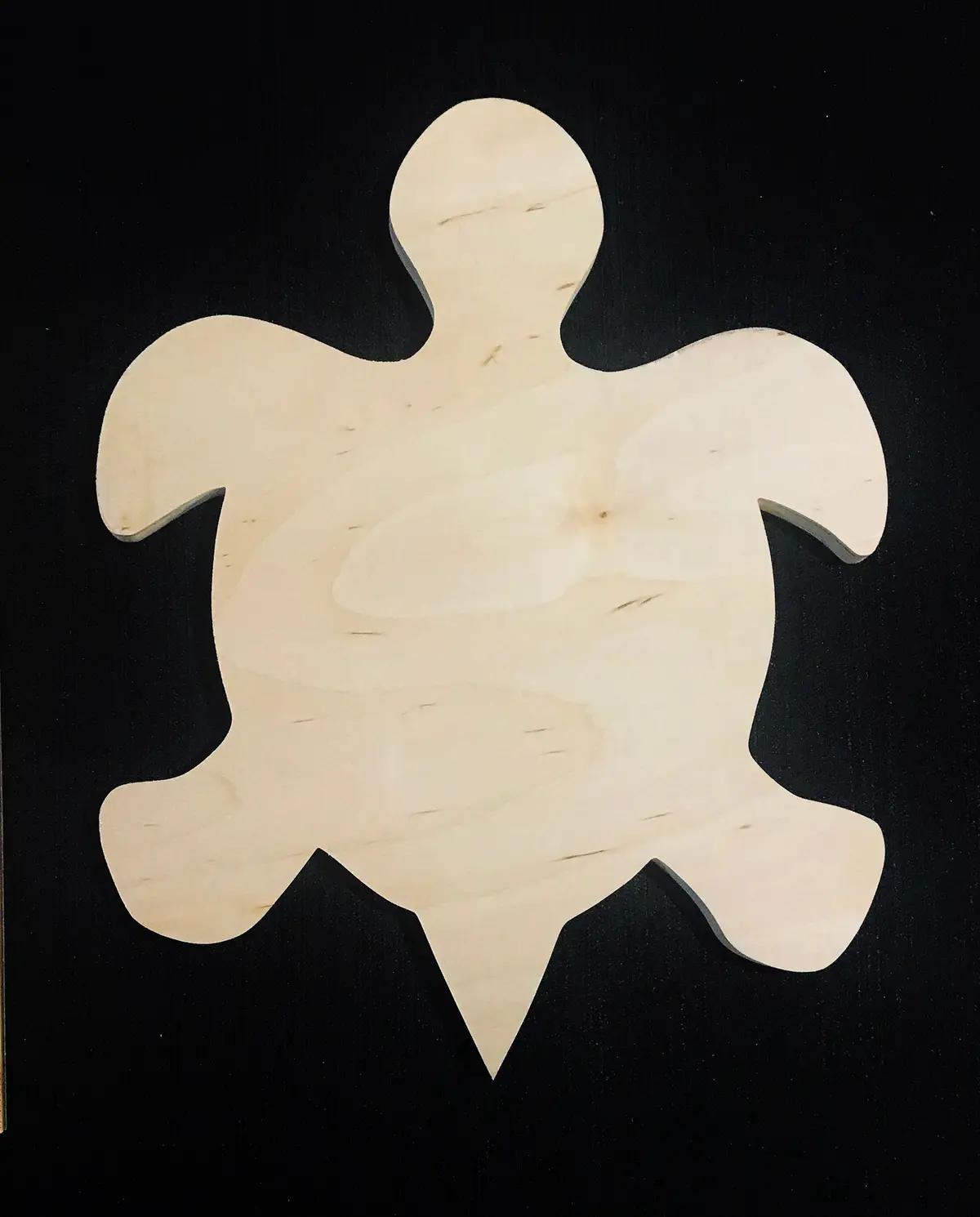 Delta Zeta Turtle Wood Board 1
