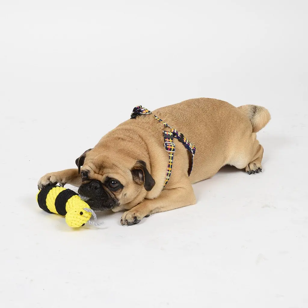 Waggo | Buzzy Bumble Bee Toy 2