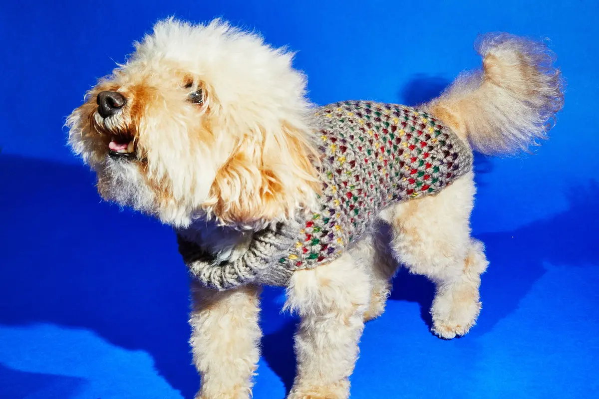 Ware Of The Dog | Contrast Stitch Sweater 4