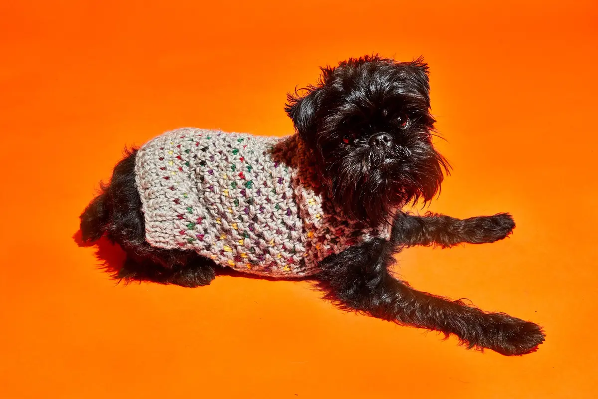Ware Of The Dog | Contrast Stitch Sweater 2