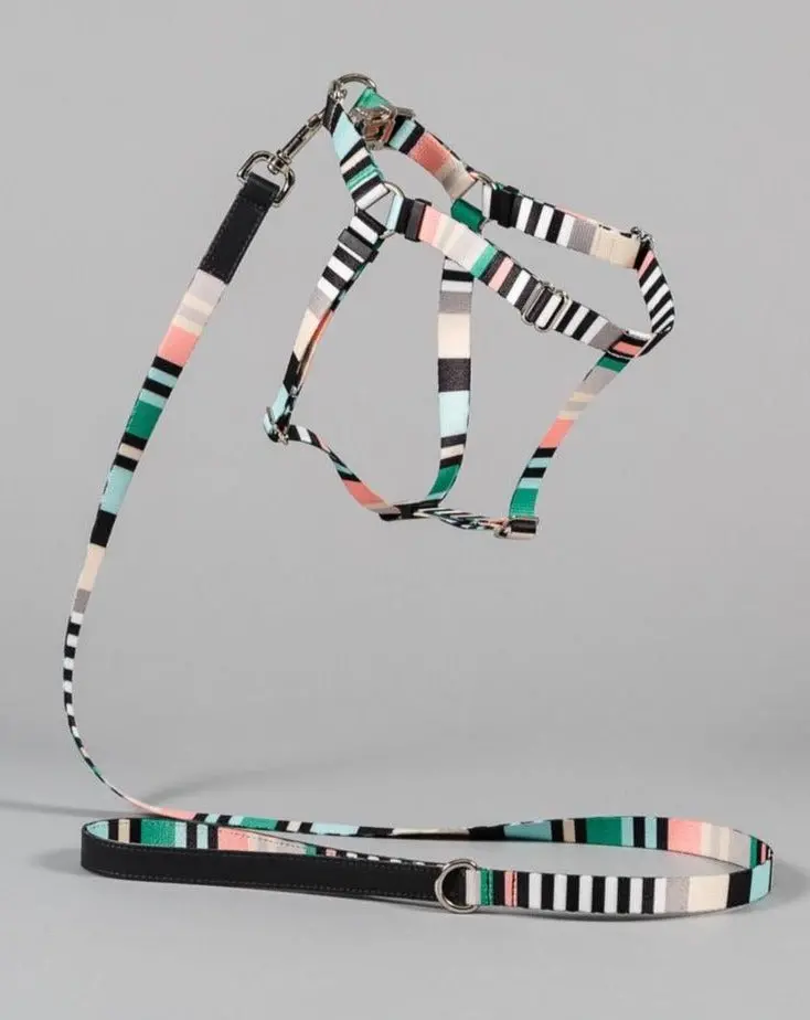 Webbing Nylon Dog Harness In Green Stripe (Made In The Usa) (Clearance) 1