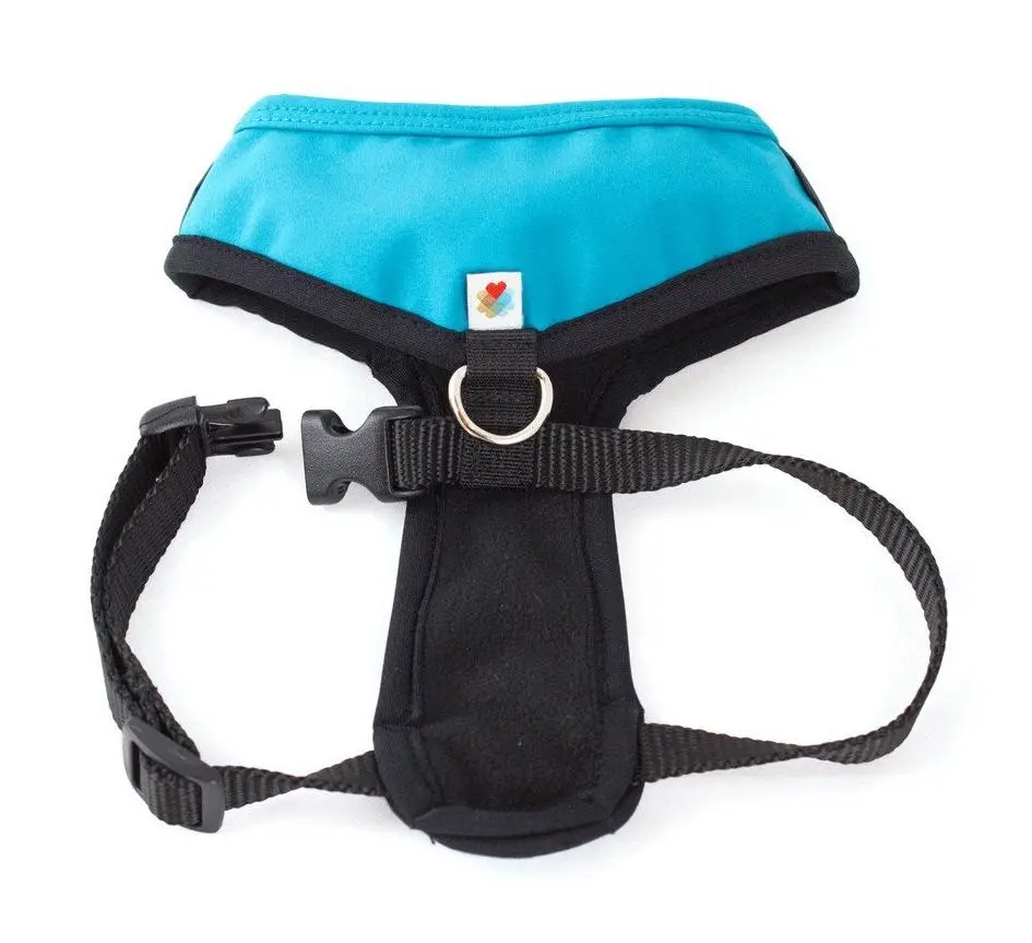 Wildebeest | Laguna Harness In Turquoise 1