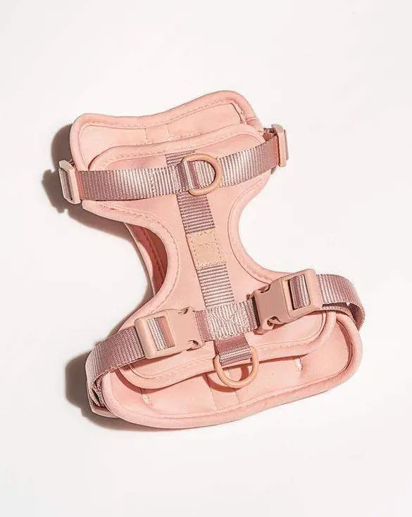 Cushioned Dog Harness In Blush 1