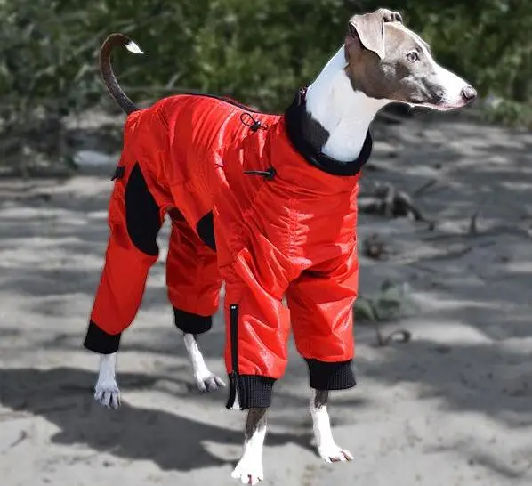 Zippy Dynamics | Full Body Suit In Red 1